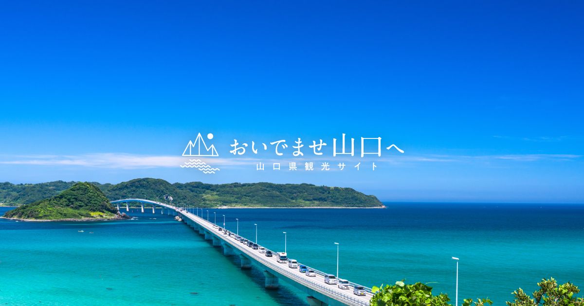 大圖6