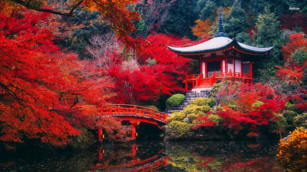 夜色光影・都會日本